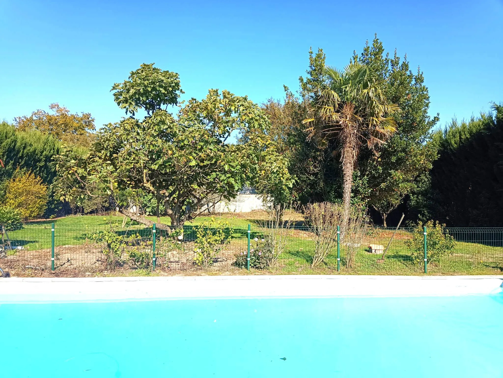 maison/villa 10 pièces à Saint-Maixent-sur-Vie (85220)