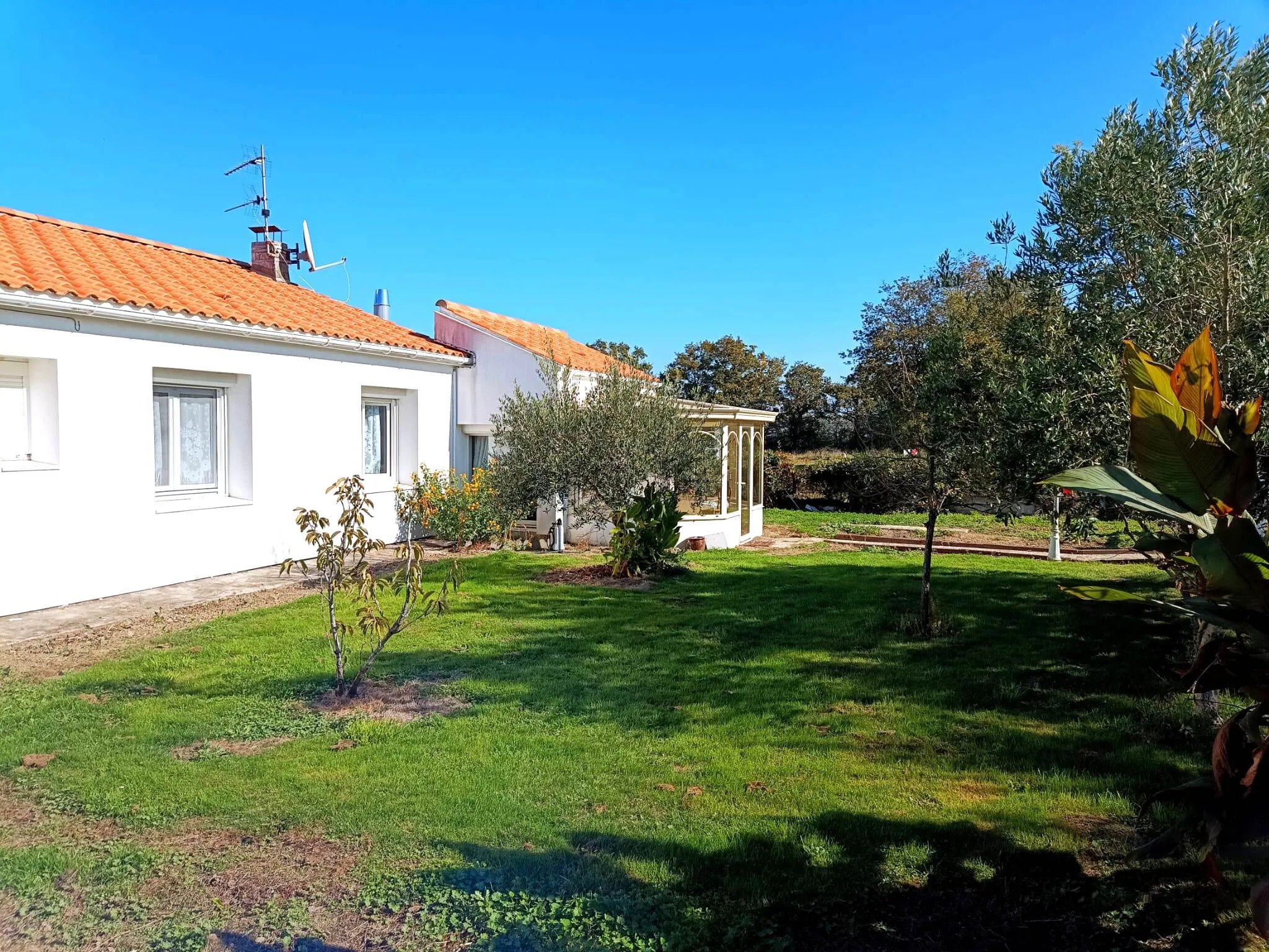 maison/villa 10 pièces à Saint-Maixent-sur-Vie (85220) — photo 2