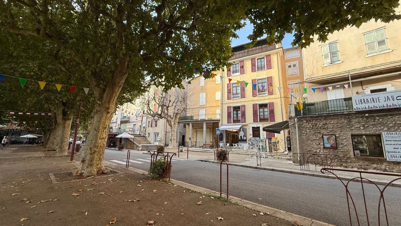Viager Libre Immeuble à Riez 04500 sur H 75 ans et F 75 ans - Valeur Vénale : 500 000€