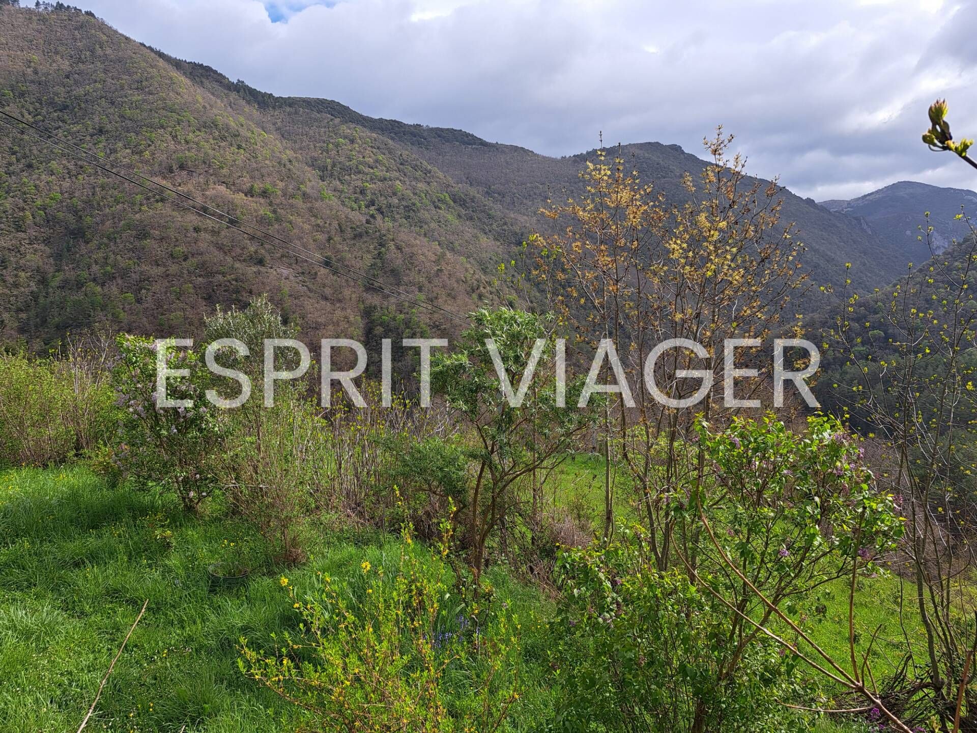 Maison 4 pièces - viager occupé- CAILLA (11)